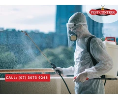 Effective Commercial Pest Control in Brisbane: Call Us Today