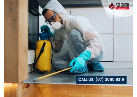 Professional Residential Pest Control: Gold Coast’s Trusted Team
