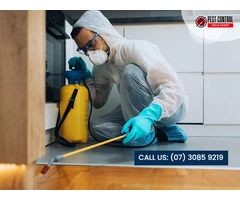 Professional Residential Pest Control: Gold Coast’s Trusted Team