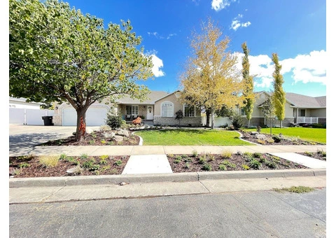 North Shore Landscapers - 2/2