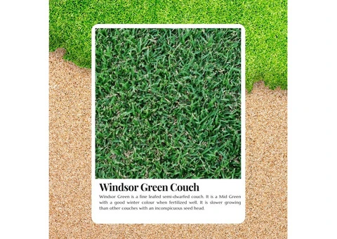 Transform Your Lawn with Windsor Green Turf