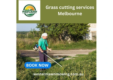 Hedge Trimming And Pruning Services - 2/7