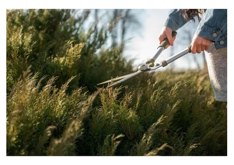 Hedge Trimming And Pruning Services - 4/7