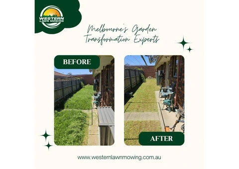 Hedge Trimming And Pruning Services - 6/7