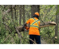 Clearing and Grubbing