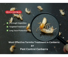 Comprehensive Pest Inspections in Canberra to Uncover Hidden Infestations