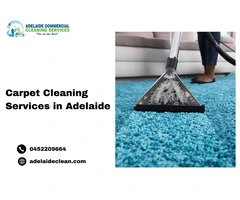 Professional Carpet Cleaning Services in Adelaide