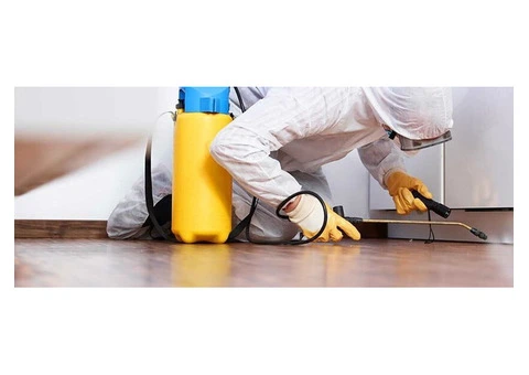 Shield Your Business with Commercial Pest Control in Melbourne
