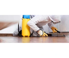 Shield Your Business with Commercial Pest Control in Melbourne