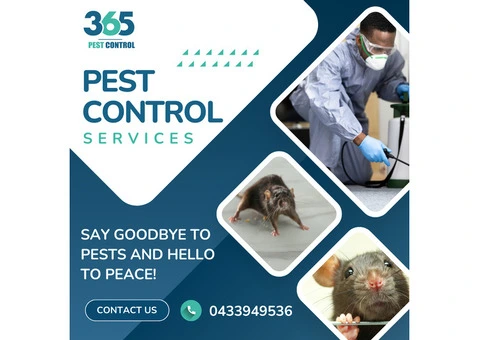 Top-Rated Pest Control Services in Tarneit – 365 Pest Control