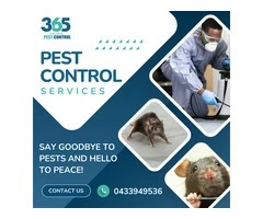 Top-Rated Pest Control Services in Tarneit – 365 Pest Control
