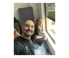 HD Window Tint - Home and Office Window Tinting