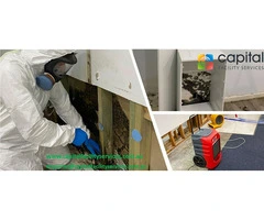 Say Goodbye to Mould, Hello to Healthy Living with Melbourne Mould Removal