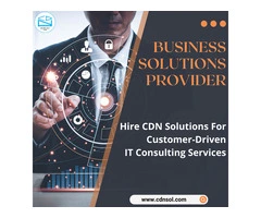 Hire CDN Solutions Team For Expert IT Consulting Service for Your Business