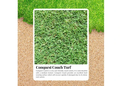 Your Key to a Strong and Beautiful with Conquest Couch