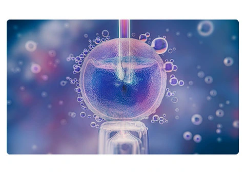 How Embryo Preservation Can Secure Your Family’s Future