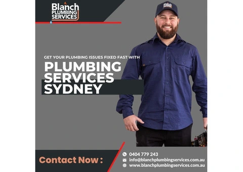 Your Go-To Experts for Reliable Best Rated Plumbers Near Me
