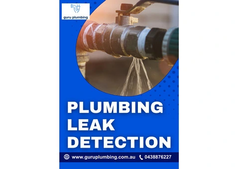 Protect Your Home with Professional Plumbing Leak Detection