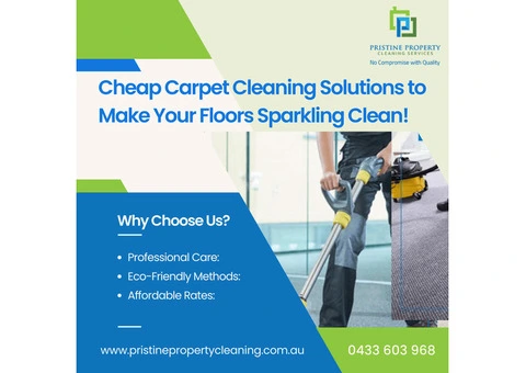 Cheap Carpet Cleaning Solutions to Make Your Floors Sparkling Clean!