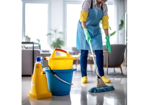 Crystal Clear Views: Professional Window Cleaning Services - 4/4