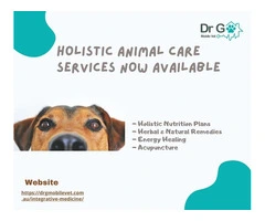 Holistic Animal Care Services Now Available
