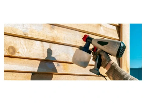 Termite Treatment Gold Coast