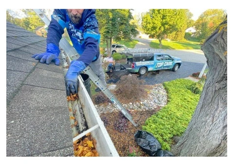 Expert Gutter Cleaning Services in Caringbah