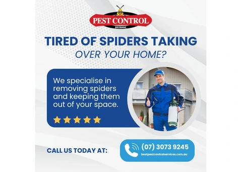 Tired of Spiders Taking Over Your Home?