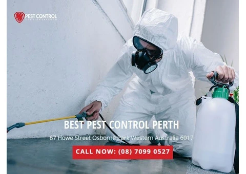 Professional Ant Control Services