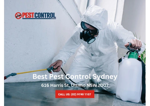 Keep Termites Out with Effective Protection