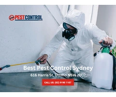 Keep Termites Out with Effective Protection