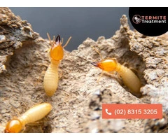 Effective Termite Eradication Services