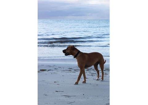 Portrait Photographer - 21/30