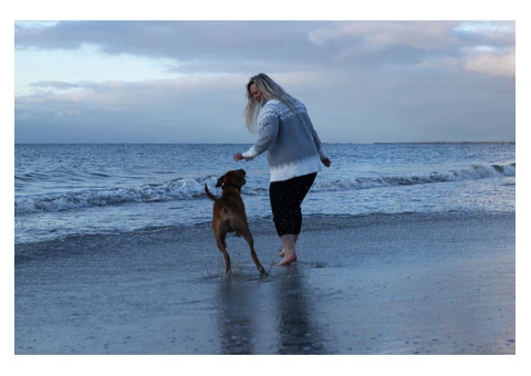 Portrait Photographer - 22/30