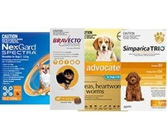 Buy Dog Supplies Online At VetSupply