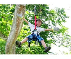 Experience Thrilling Ziplining Adventures in Nadi, Fiji