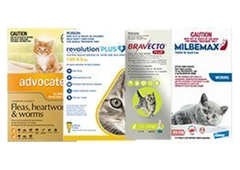 Buy Cat Supplies | Cat Accessories online - VetSupply