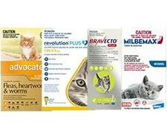 Buy Cat Supplies | Cat Accessories online - VetSupply