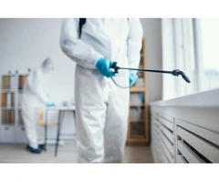 Pest Control Services in Brisbane