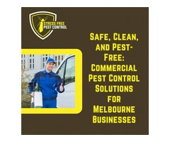 Top-Rated Rat Removal Services in Melbourne for a Safer Environment