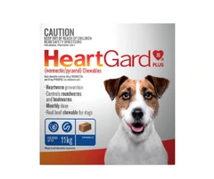 Heartworm Treatment for Dogs - VetSupply