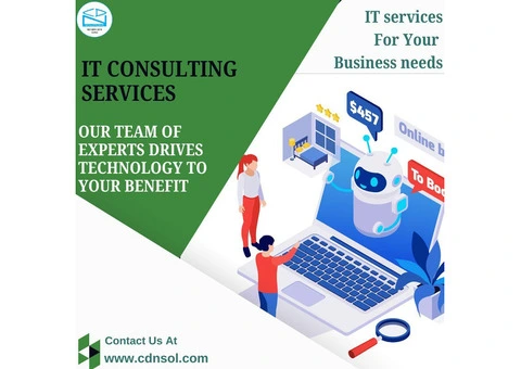 Hire CDN Solutions And Optimize Your Business With IT Consulting Services.