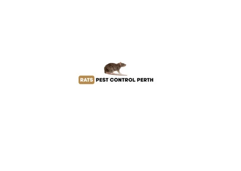 Rats Pest Control Perth