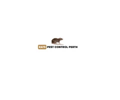 Rats Pest Control Perth