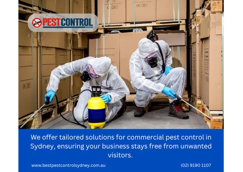 Commercial Pest Control Sydney – Keep Your Business Pest-Free