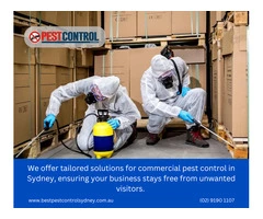 Commercial Pest Control Sydney – Keep Your Business Pest-Free