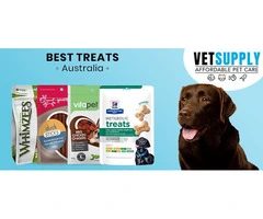 Buy Dog Treats Online | Tasty Treats For Dogs And Puppies