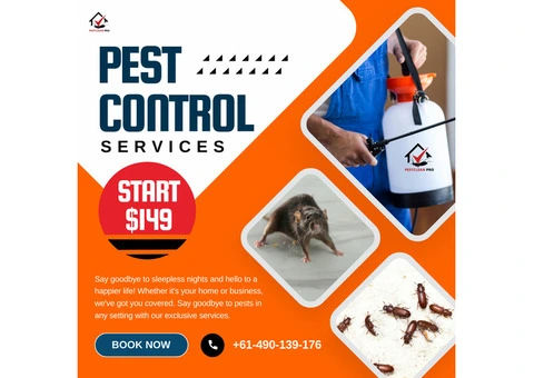 Pest Control Services in Brisbane