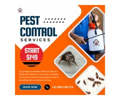Pest Control Services in Brisbane