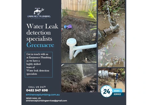 Get in Touch with Expert Water Leak Detection Specialists in Greenacre Today